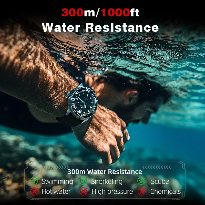 Stainless Steel Diving Watch S - Solar Powered Watch 리뷰 및 가격